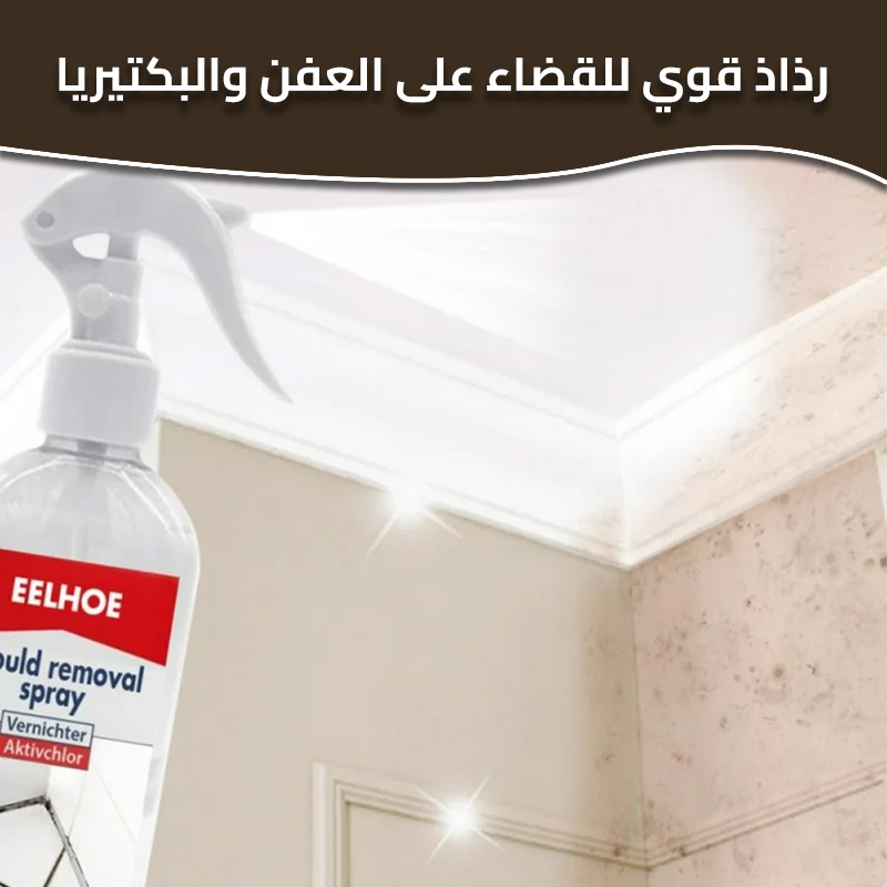 mold removal spray ar 1